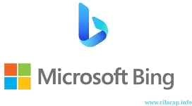 Bing